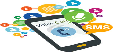 Bulk Text SMS/ Voice SMS Service